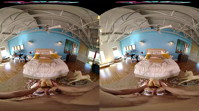 hhad: Boquete, cachorrinho e vaqueira VR pornografia