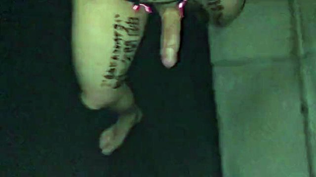 Krabbenscheibe Walkiwith erotischer Bikini und Graffiti am Körper