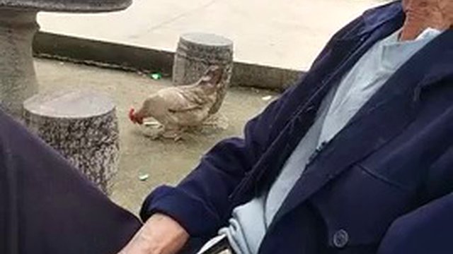 old man, dad