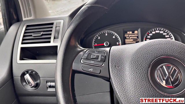 Taxista casado bate na buceta perfeita de Stacy Cruz em público