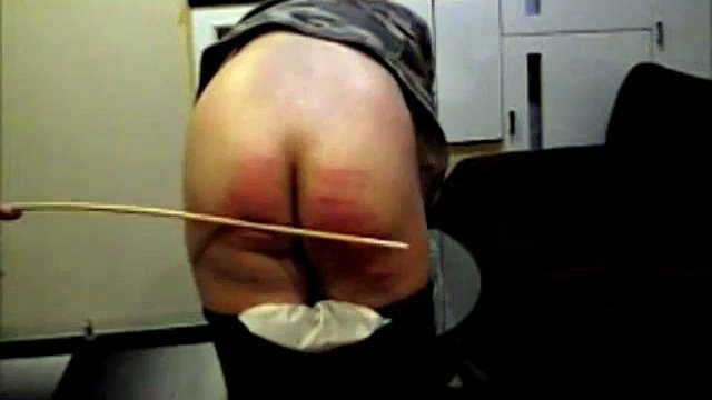 Domestic cane