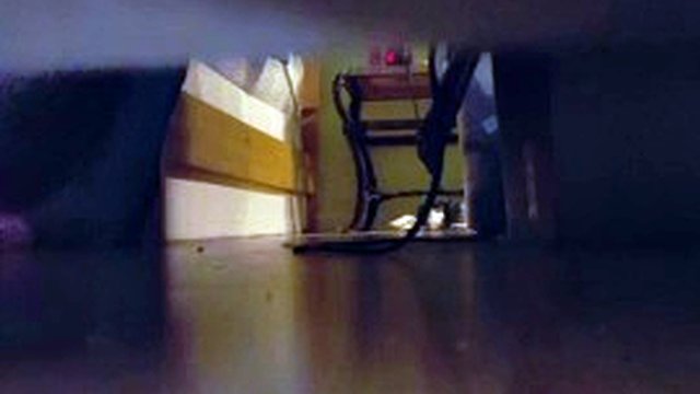 reflection of massive tits on bed and small view of cunt