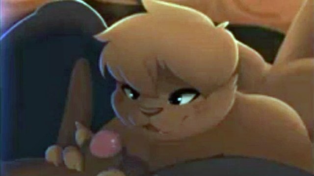 Zonkpunch compilation