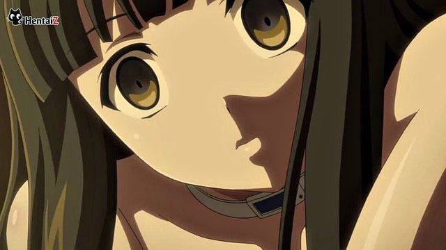 Euphoria 3: Japanese, Hentai & Anime Porn