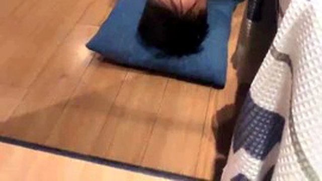 Chinese femdom feet licking