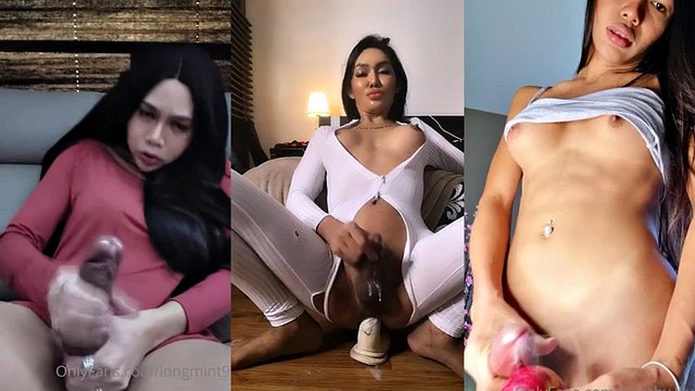 Compilación asiática