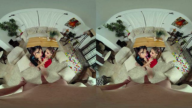 bmvg: Blowjob, Cowgirl & Anal VR Porn