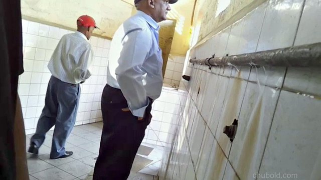 Chubold - v4640 - Urinal Hunter - Volume 30