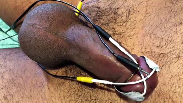 Subject R cums twice more by electric milking