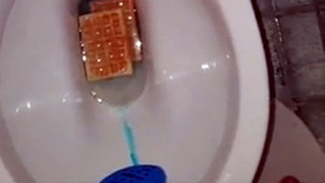 Master Ramon pisses and spits on your food in the toilet, eat!