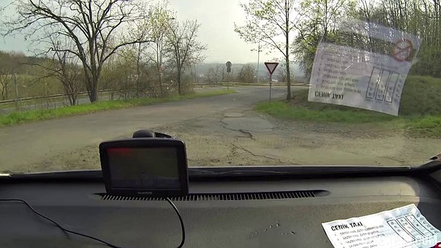 She called for a cab but got a dick instead