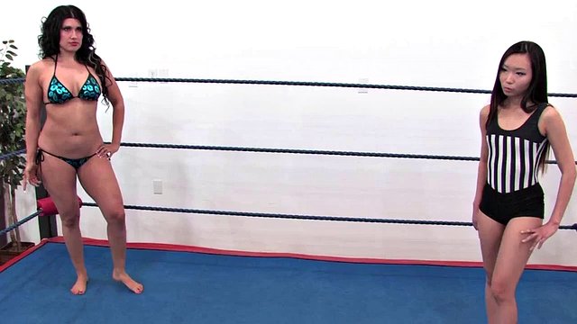 bikini wrestling