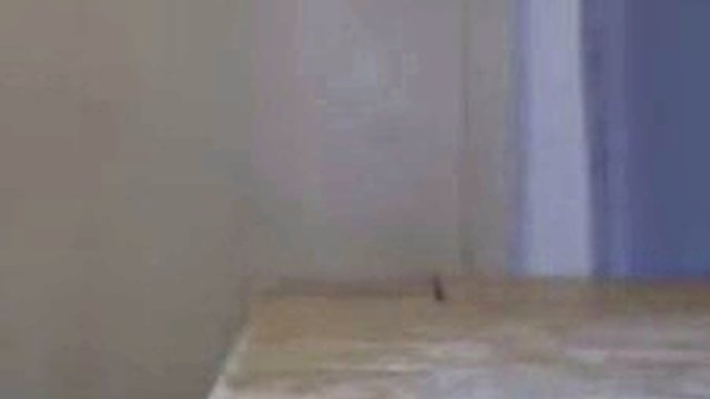 Cumming on very dirty Teen Thong from Cousin Dau