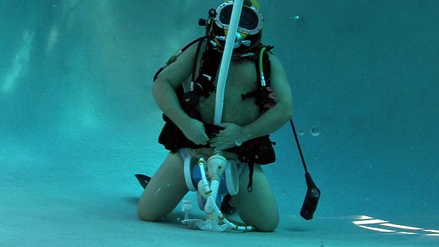 SCUBA Bear feeding pool cleaner